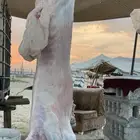 ذبايح حري