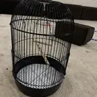 للبيع قفص طيور