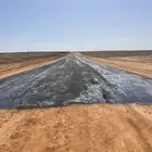 وايت قار