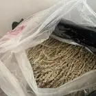 وبار نخل