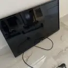 تلفزيون