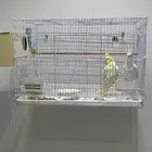 جوز كروان لبيع