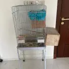 قفص حلوو حجم كبير منفصل عن قاعدته وعجلاته