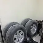 بوالين ماكسس للبيع