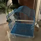 عصفور بادجي