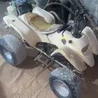 دباب سويدي تايواني 100cc