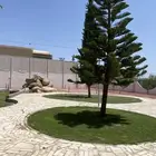 استراحة مع ارض