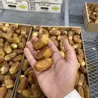 تمر صقعي ملكي