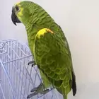الخبر