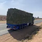 تريله  النقل  البرسيم ولأعلاف