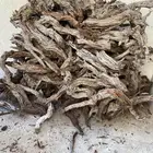 تيوتا شاص مسح الحوض شرط يابس