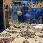 مروحه قديمه إنجليزيه