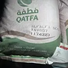 بذر برسيم امريكي