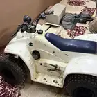 دباب رام 50