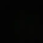 مطلوب جربوع مهو مهم حي ولا ميت .