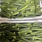 باميه حجم كبير وفيه حجم صغير على الطلب