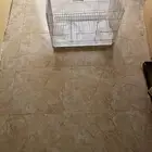 قفص نضيف شرط