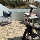 اغراض قطط كثيره جدا بيعه سمح