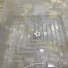 فقاسه