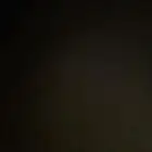 مطلوب انثى كنيور