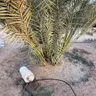 فسائل نبوت سيف