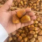 تمر مقتل نضيف وشرط مجاء كميوي