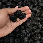 تمر العجوة كميات _ جملة