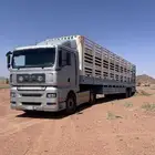 نقل حلال ثلاث ادوار