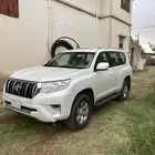 برادو 2018