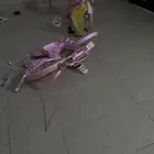 سياكل بنات