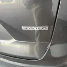 الاحساء
