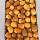 رطب خلاص وعجوه