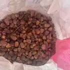 علف تمر للبيع
