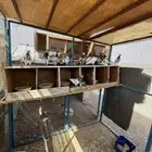 عشت تيادي