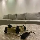 عقال مقصب