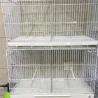 اقفاص ابو فاصل