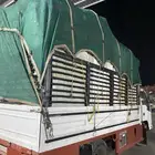 دينه مشوار داخل المخواه وضواحيها