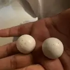 جحار
