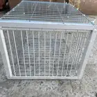 مصيدة طيور