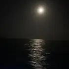 رحلات صيد ونزهه