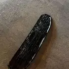 شبك توريسس