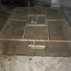 شبك دجاج