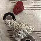 زينه حوض سمك