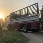متواجد دينا شبك في مكه وجده الي عنده شي يدق علي