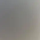 للي عنده قط لتبني غير شيرازي وبلدي وهملايا يدخل خاص