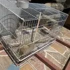 أقفاص طيور العدد ثلاثه شبه جديد