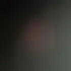 قلع وترحيل اشجار