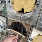 نحل قوية للبيع