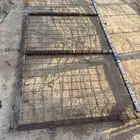 شبوك وبلاكاش