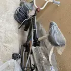 سيكل و جنوط